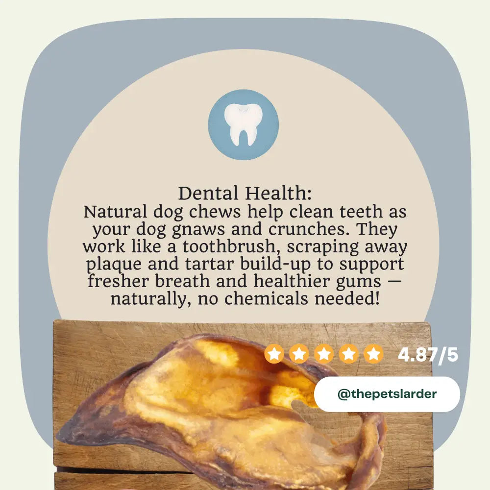 Natural pig ear dog chew in 1kg bag for dental health