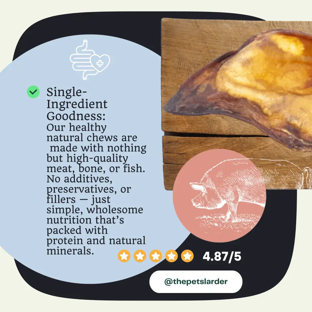 Natural pig ear dog chew toy in yellowish-brown hues, 1kg bag