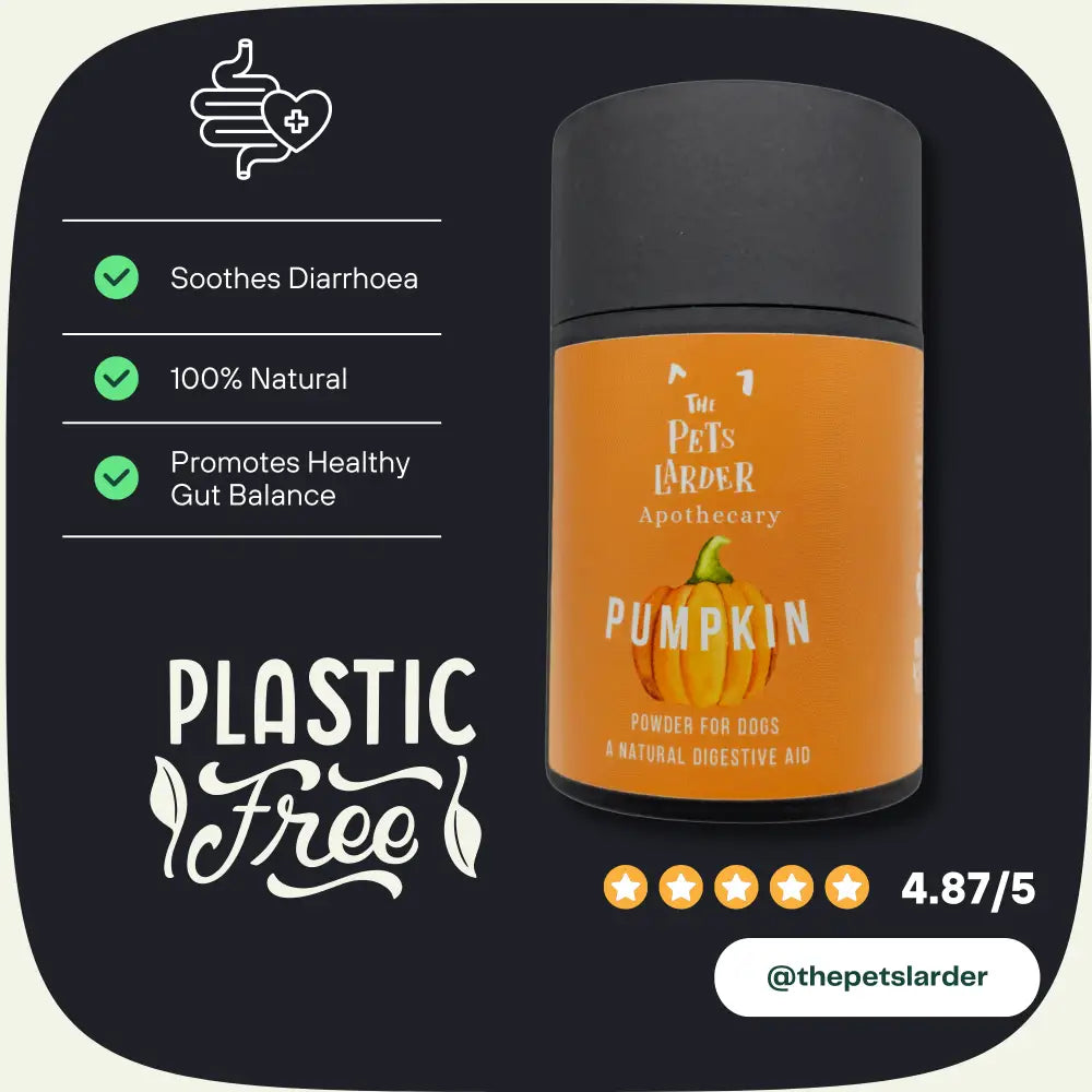 Orange pumpkin powder container with green checkmarks for digestive health in dogs