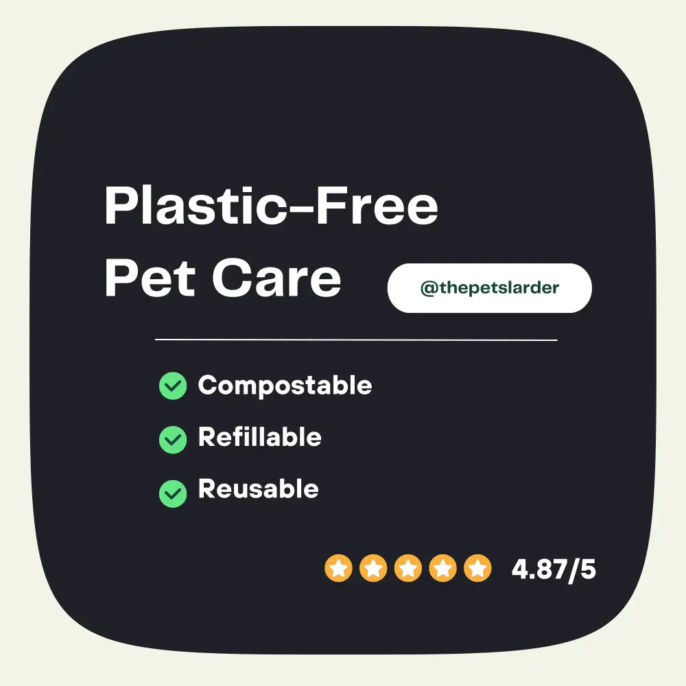 Plastic-free pet care kit with pumpkin powder for dogs supporting digestive health and bowel movements
