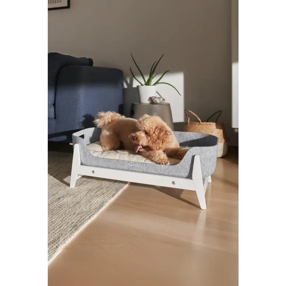 PetNest Raised Stand: White PetNest Bed with Gray Cushion for Small Dogs
