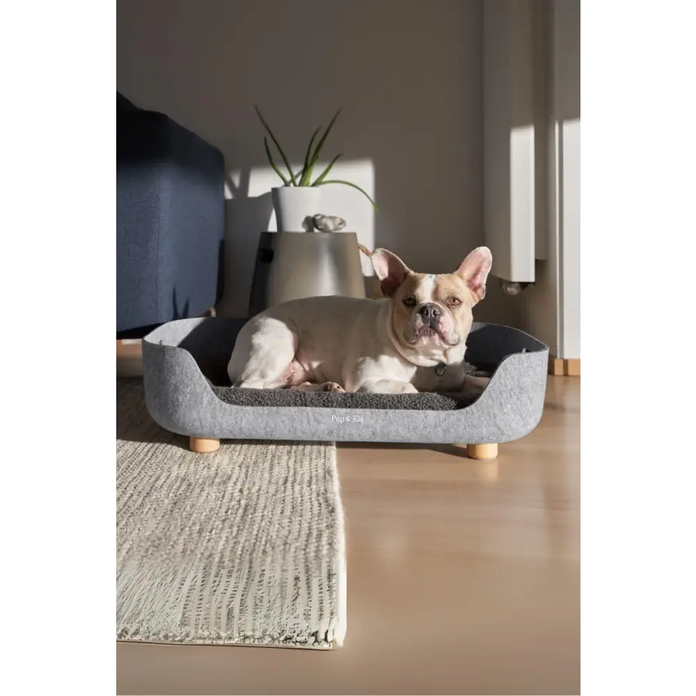 Petnest Dog Bed Slate Grey Modern Felt Dog Bed – The Pets Larder