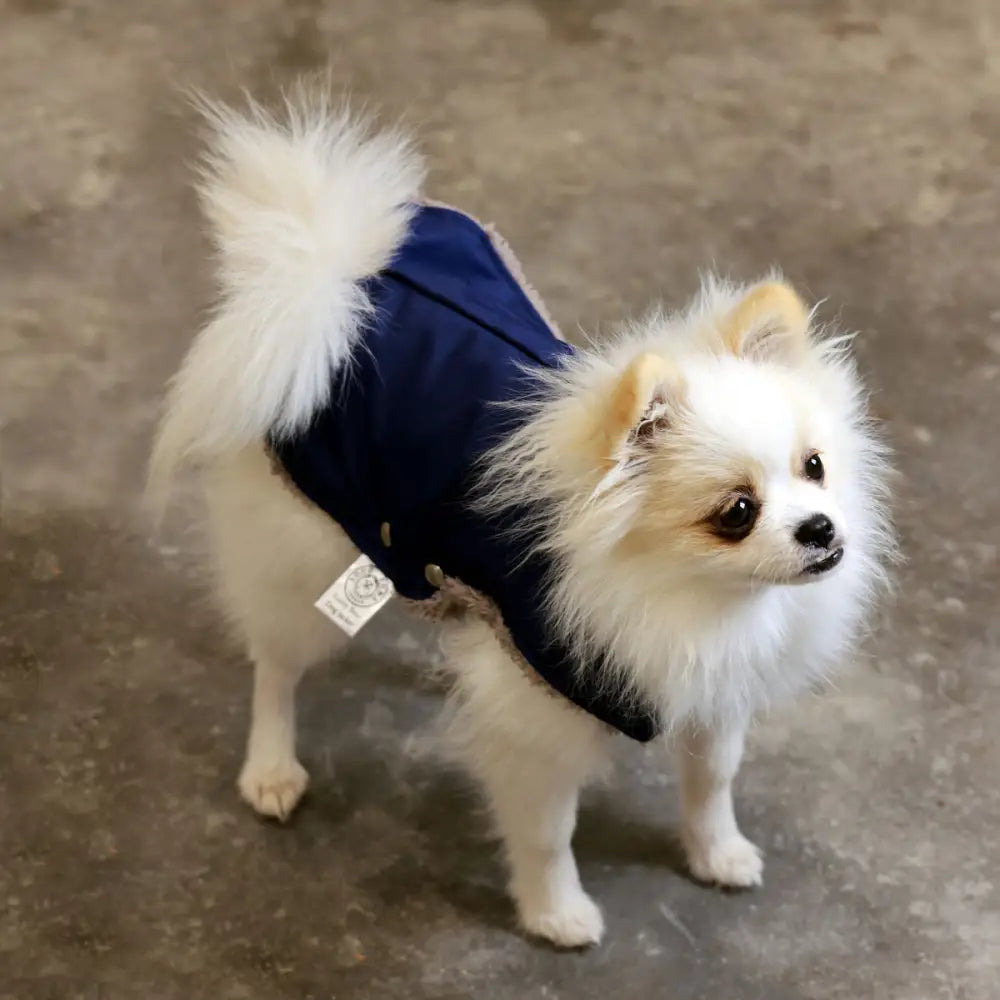 Blue and black waterproof dog jacket with fur lining for added warmth and comfort