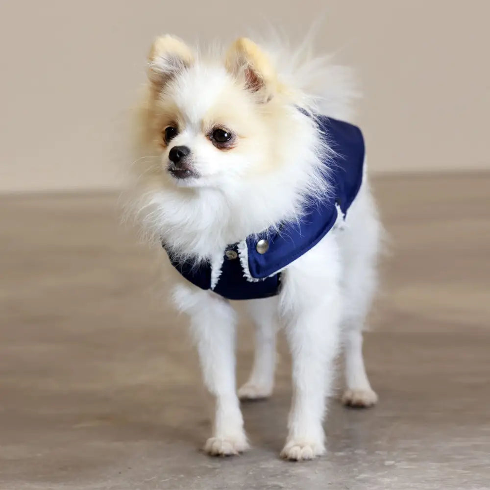 Blue and white waterproof dog jacket with fur trim and hood from Soho Poms