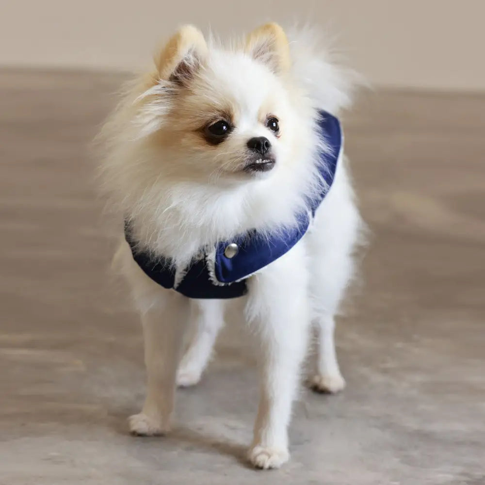 Blue and white fur-lined waterproof dog jacket with plush texture from Soho Poms