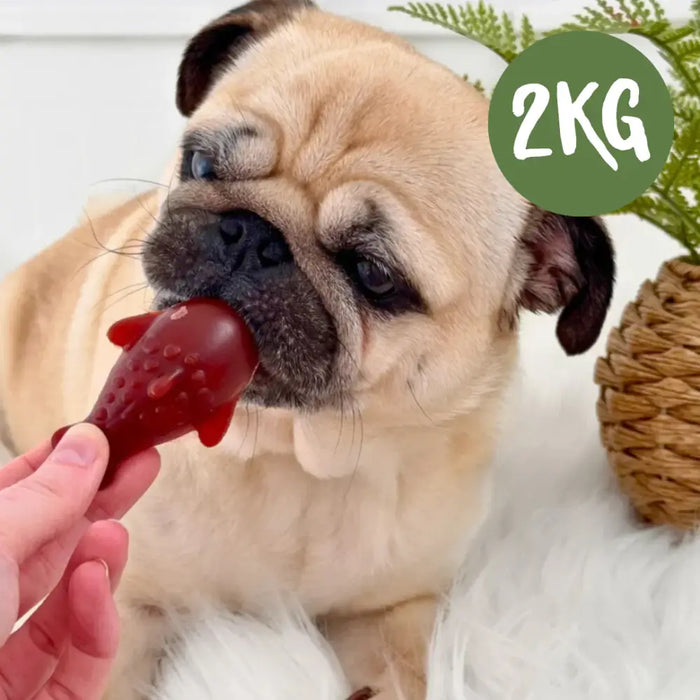Strawberry & Banana Dolphin Vegetable Chew For Dogs - 2kg Bag - Natural Dog Chew