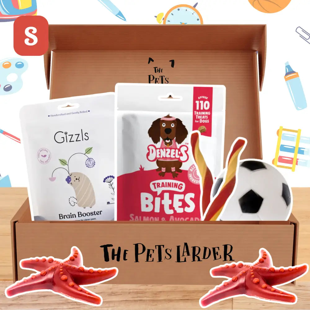 Denzel’s salmon and avocado training bites in The Pets Larder monthly treat box