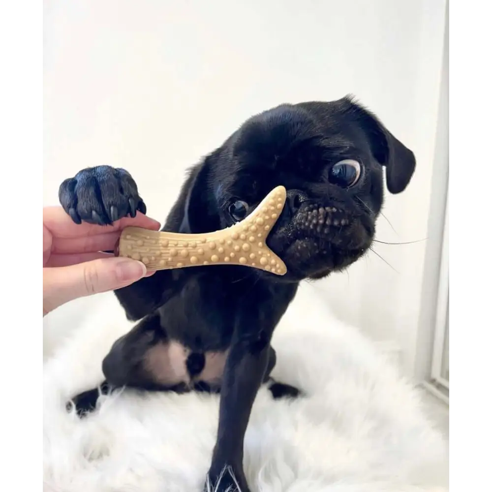 Vegetable peanut butter and banana filled tan bone-shaped antler dog chew toy