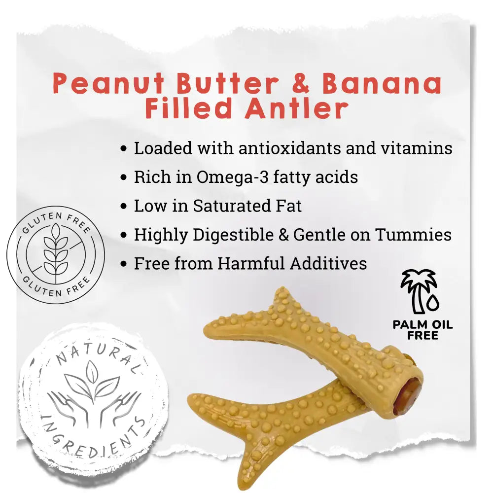 Golden brown vegetable peanut butter and banana filled antler chew toy for dogs