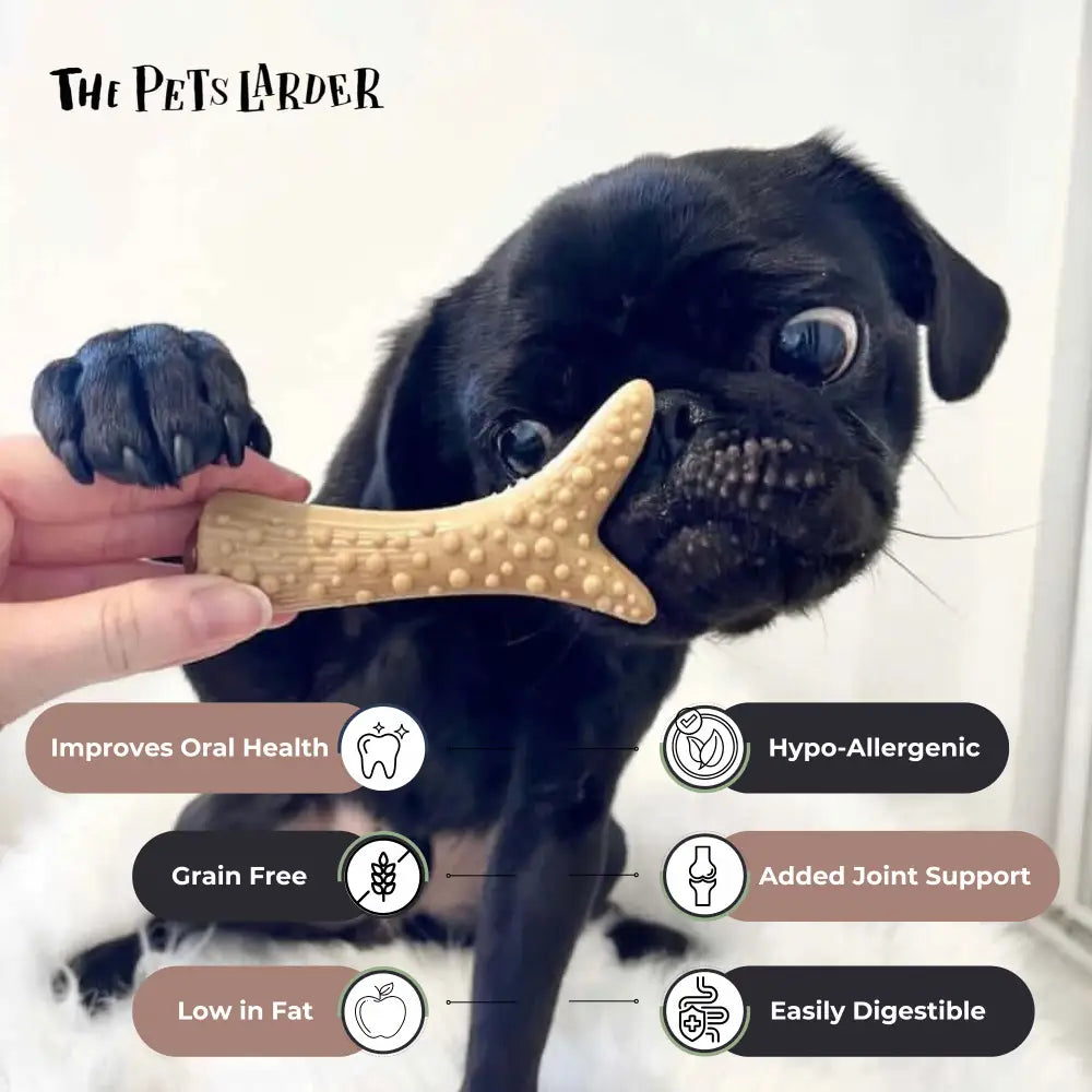 Tan bone-shaped antler chew toy, vegetable peanut butter banana filled