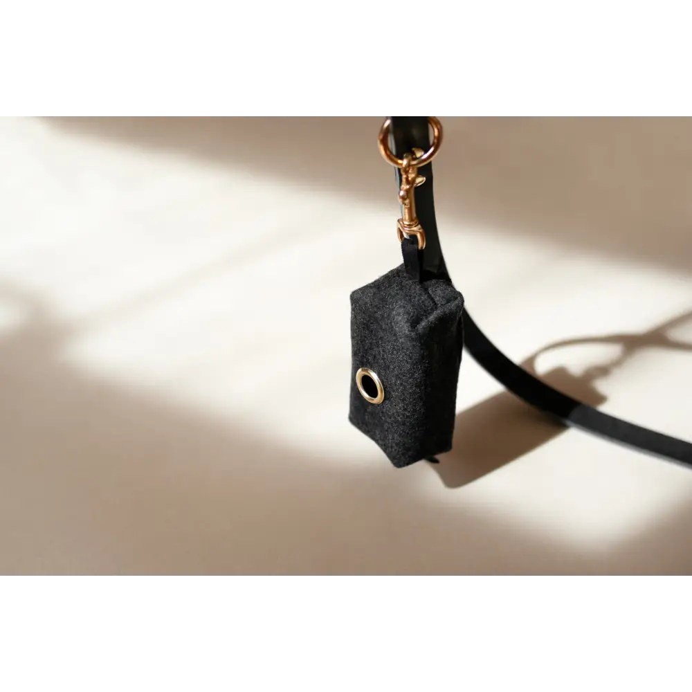 Black leather Waste Bag Treat Holder with solid brass hardware and eyelet detail
