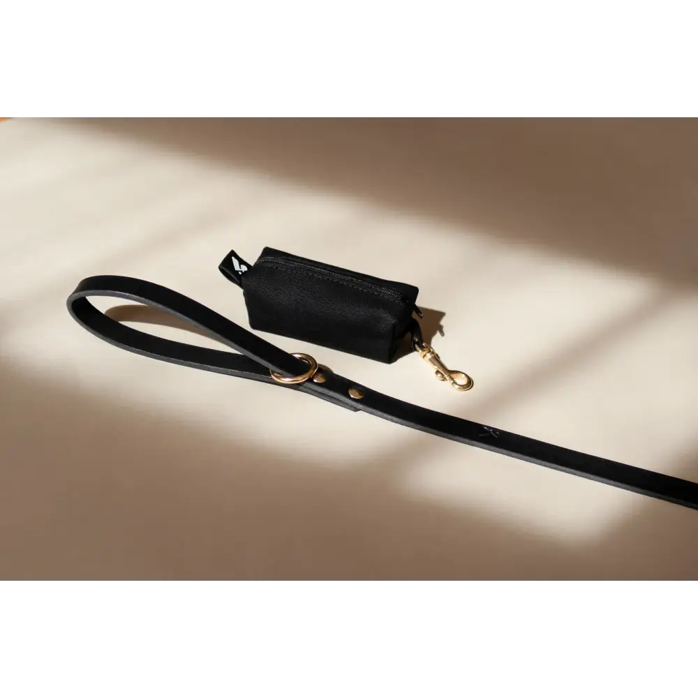 Black leather leash with small pouch and solid brass hardware for waste bags and treats