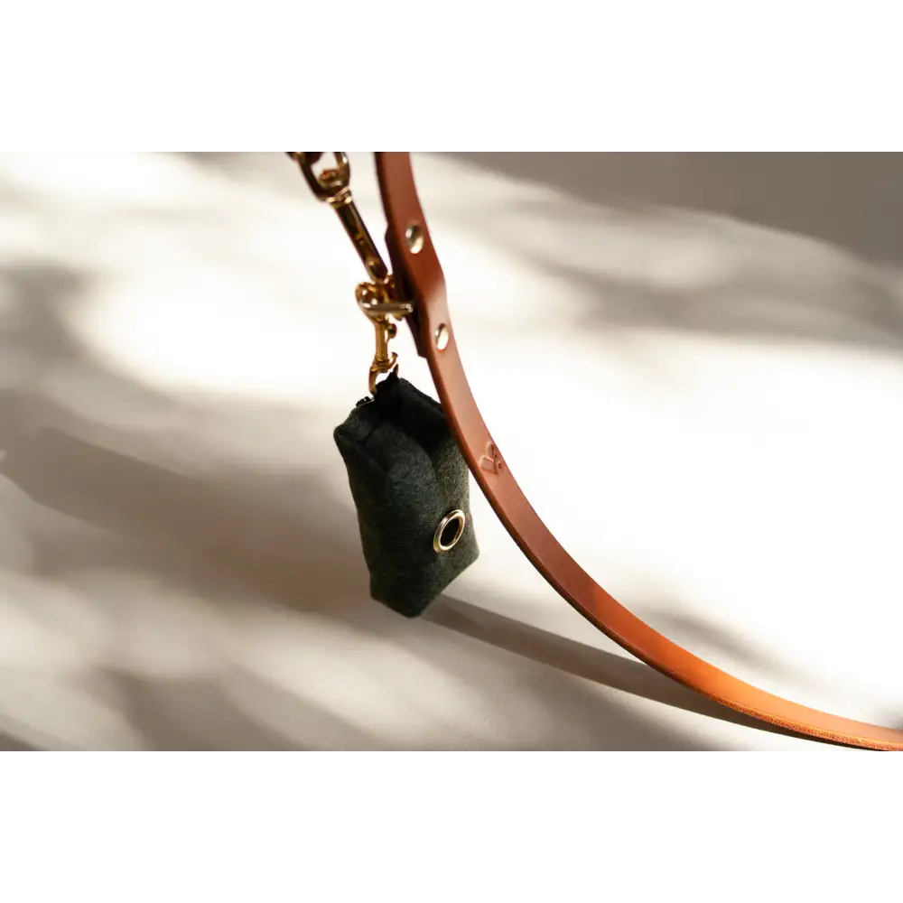Brown leather leash with black and green waste bag treat holder and solid brass hardware