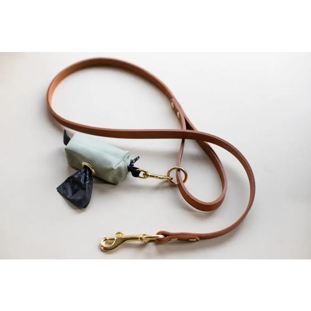 Brown leather leash with brass hardware and attached poop bags holder for Waste Bag Treats