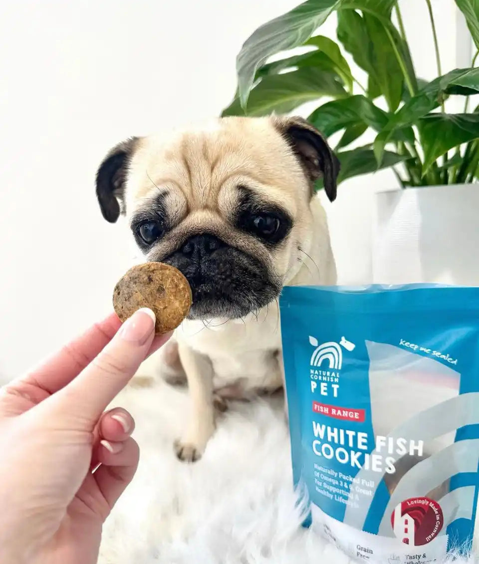 White fish cookies(user):assistant: white fish cookies, a delightful treat for pets.