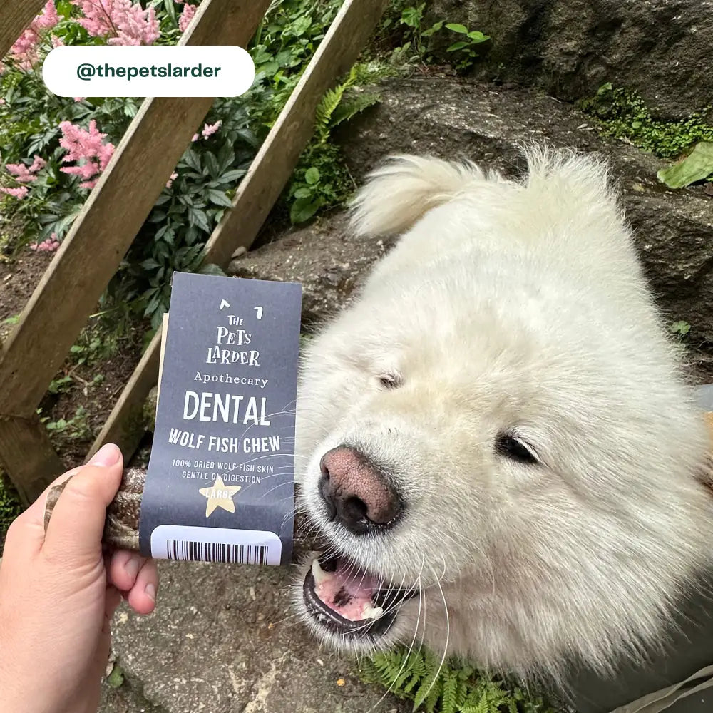 Wolf Fish Stick Chew for Dogs in Black Packaging