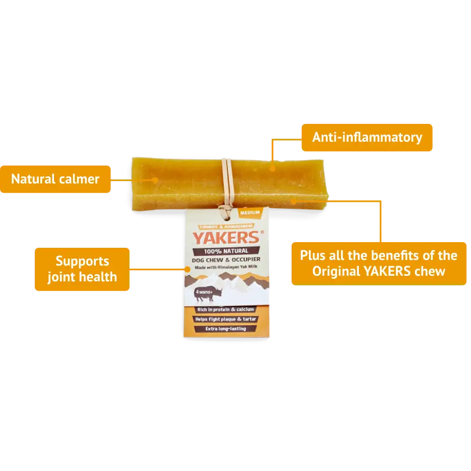 Yakers Turmeric Dog Chew: natural dog chew from yak milk and beefhide