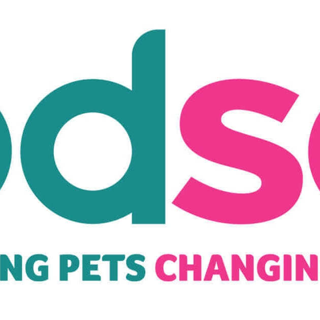 ugust's Charity of the Month: PDSA - PDSA Logo