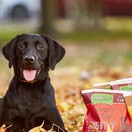 Natures Menu And Their Amazing All-Natural Pet Foods - The Pets Larder A Natural Pet Shop 