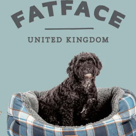 Delightful Dog Beds From Danish Designs & FatFace - The Pets Larder Natural Pet Shop 