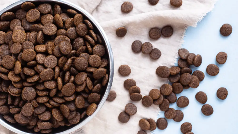 Looking for an alternative to Eukanuba?