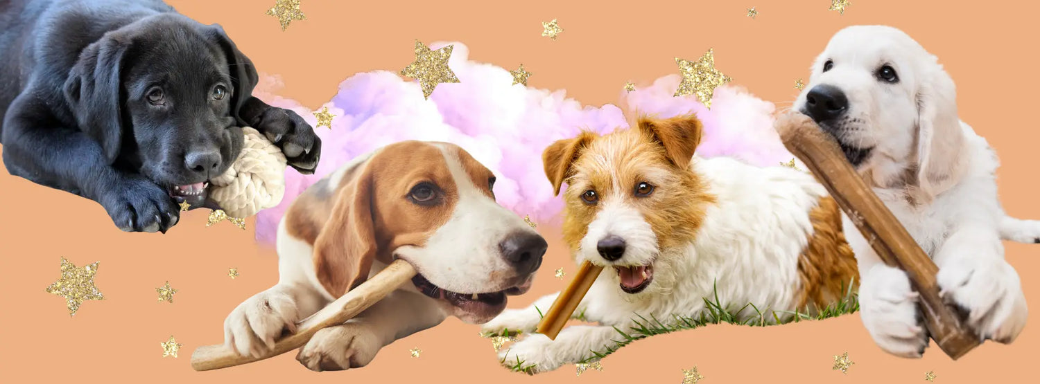 Colorful bone-shaped dog chews with air-dried meat for ultimate chewing fun.