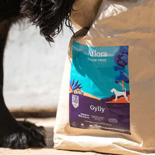 Amazing Aflora Dog Foods at The Pets Larder - The Pets Larder Natural Pet Shop 