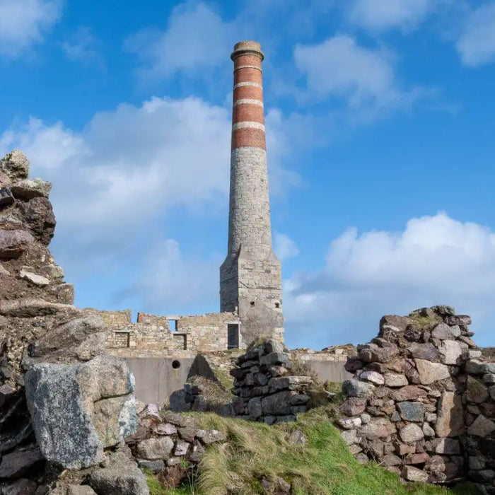 August's Dog Friendly Destination: Geevor Tin Mine - The Pets Larder A Natural Pet Shop 