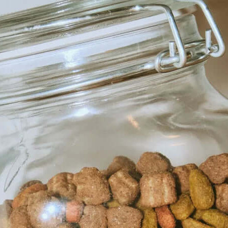 How To Properly Store Your Dog's Food and Treats - The Pets Larder A Natural Pet Shop 