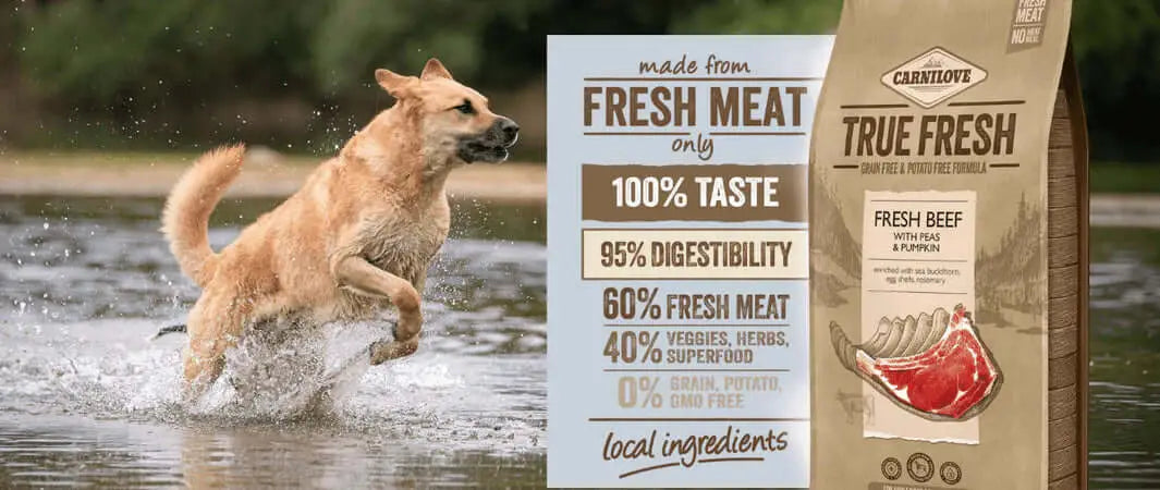Brown dog plays in water near Carnilove True Fresh beef dog food.