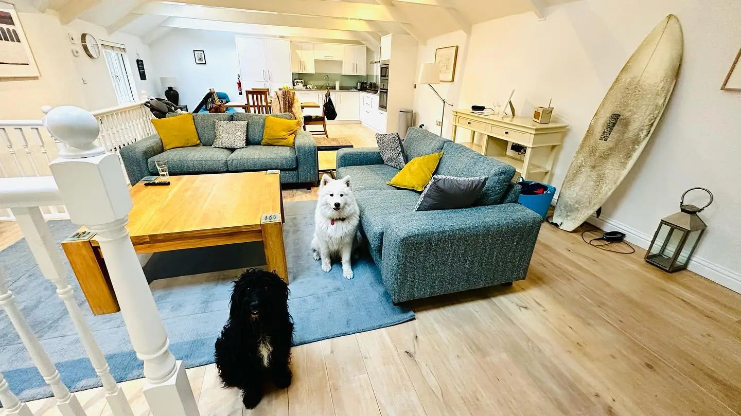 Cozy blue sofa with yellow cushions in dog friendly Cornwall accommodation