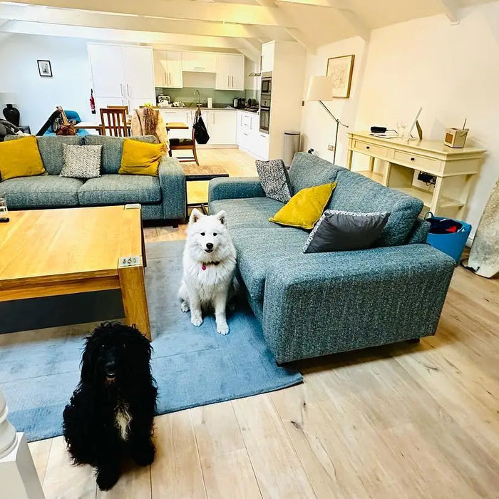 Dog-Friendly Accommodation in Cornwall: A Coastal Escape with Your Canine Companion