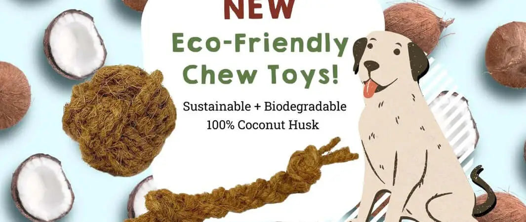 Eco-friendly coconut husk chew toy for natural Cornish pets