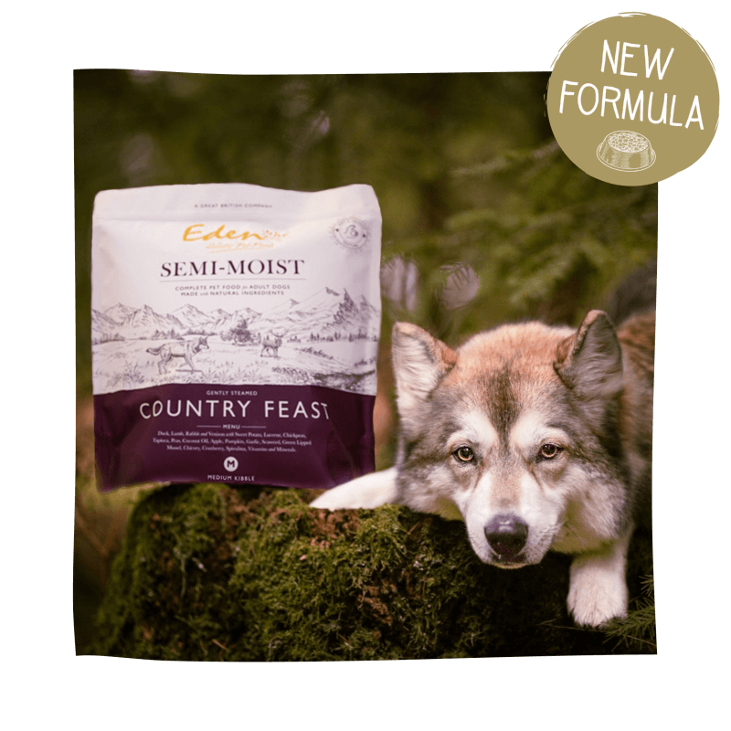 Eden Dog Food: The Pinnacle of Natural, Nutritionally Complete Canine Nutrition