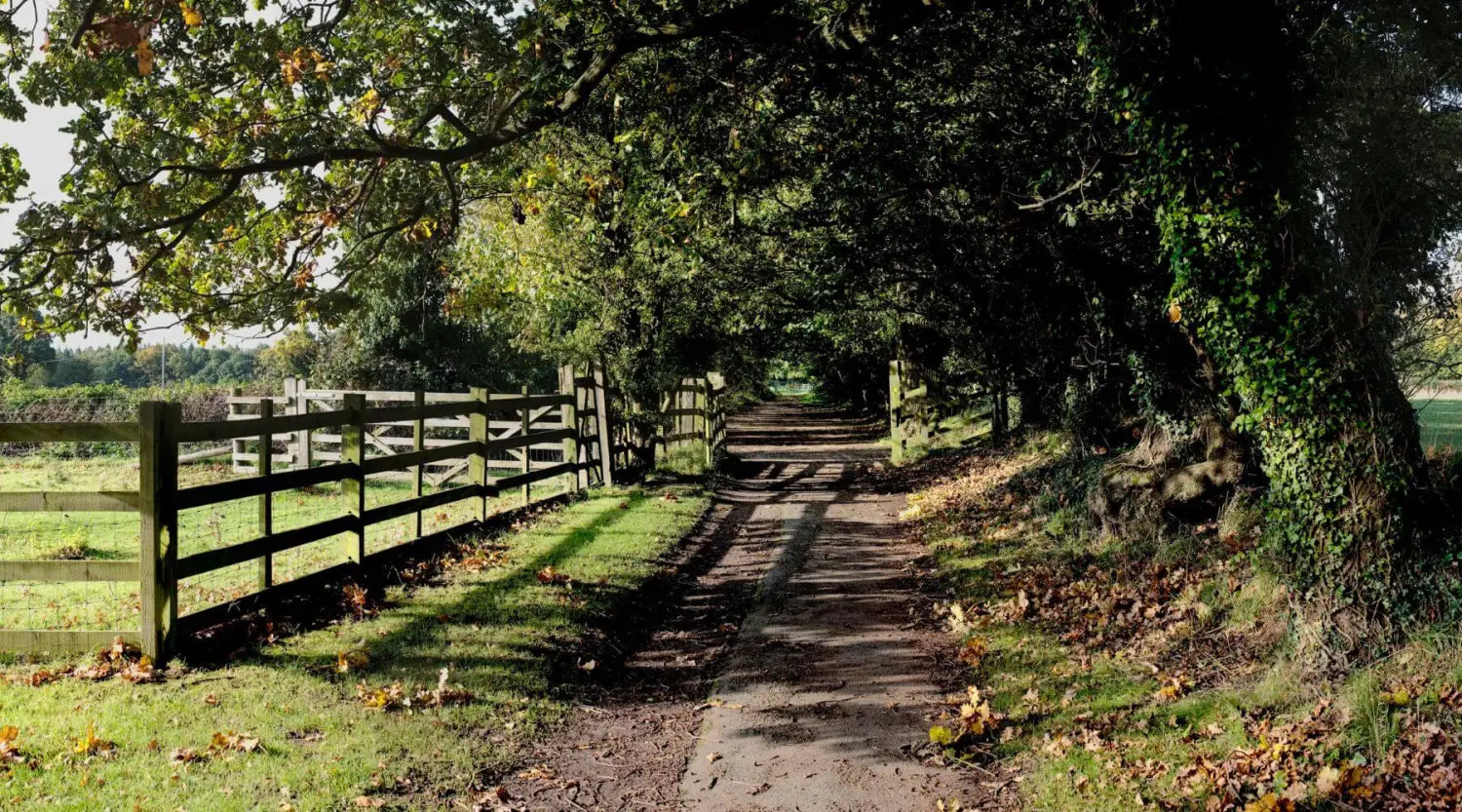 Wooden fence along Clumber Park canal walk path with green grass