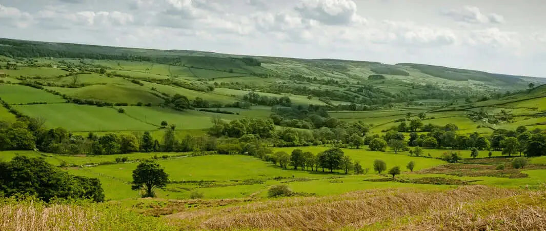 Lush green pastoral landscape near Cow Green Reservoir in North East England