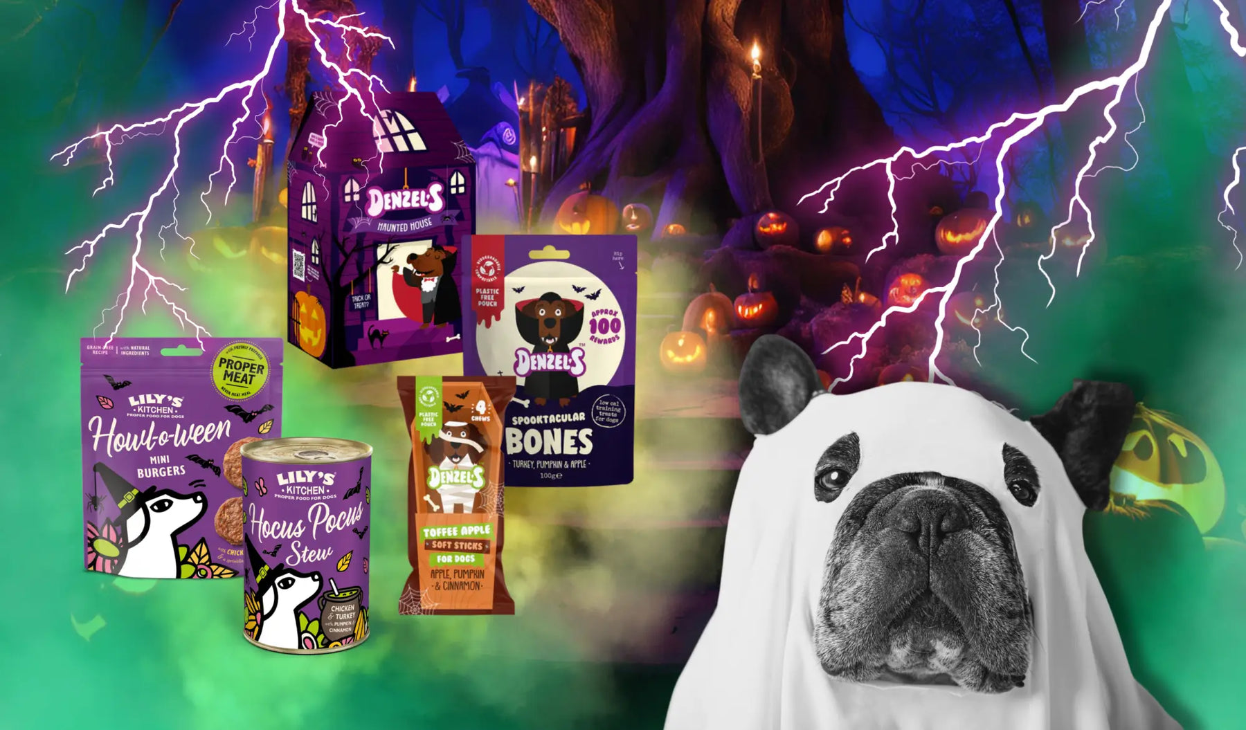 How Halloween Affects Our Pets: Tips Tricks & Treats to Keep Them Calm