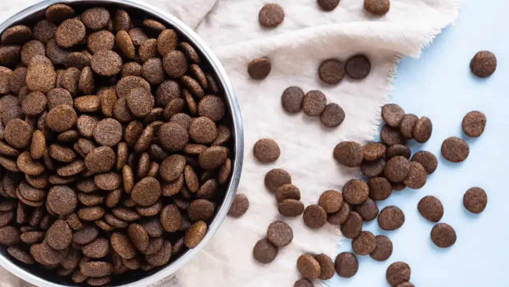 Looking for an alternative to Eukanuba?