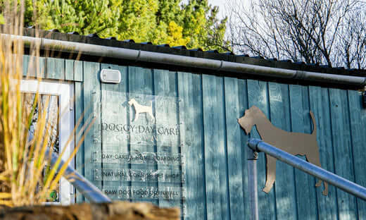 Doggy day care sign in wooden frame and metal gate at natural pet shop.