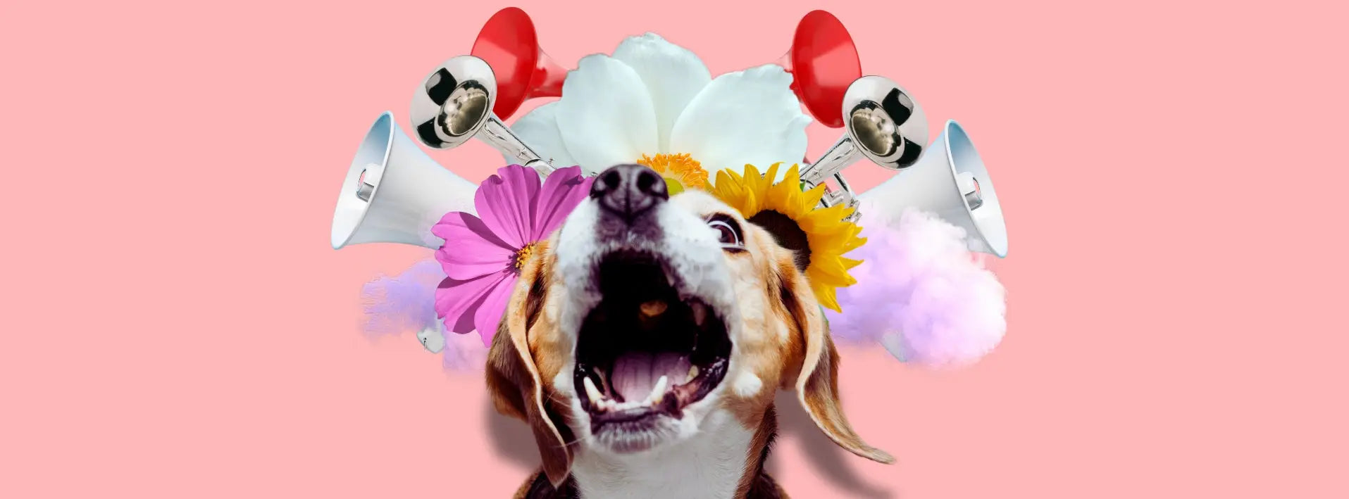Vibrant floral crown dog accessory for managing excessive barking