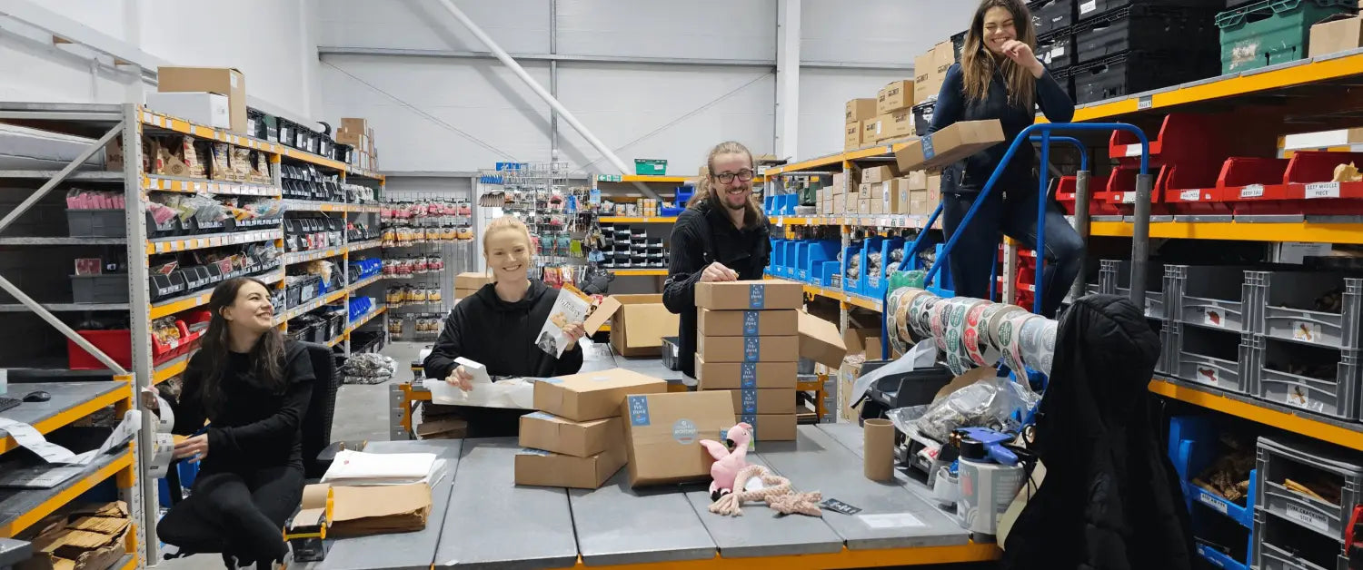 Soft white and pink plush toy at Pets Larder for New Year pet looks