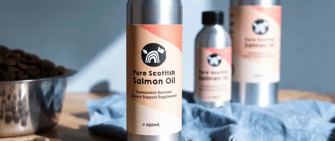 Pure Scottish salmon oil bottle for natural Cornish meal toppers