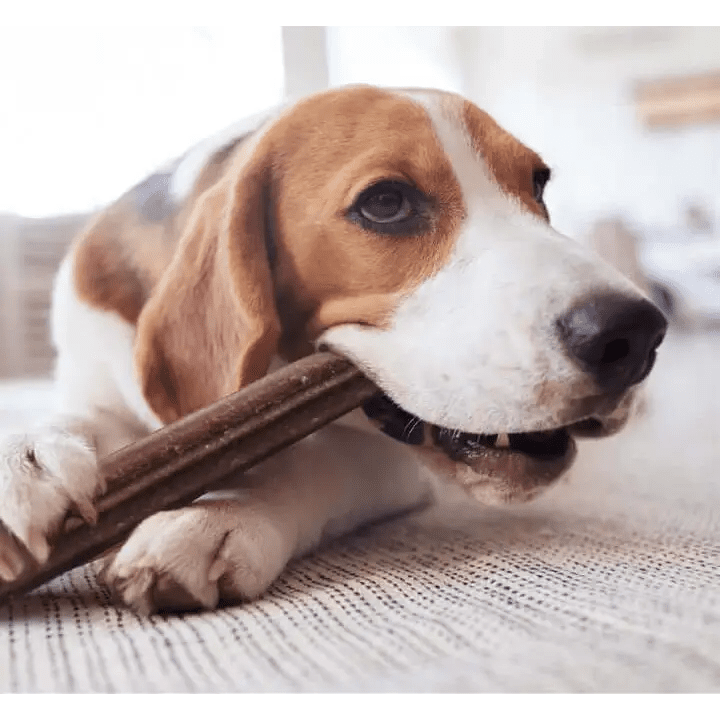 Natural dental chews for dogs — what actually works