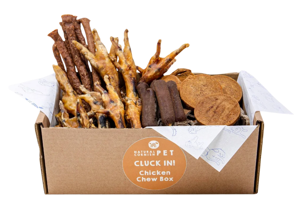 Natural Cornish pet cluck-in chicken chew box with compostable packaging