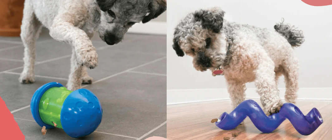 Twisty blue and green plastic dog puzzle toy resembling an octopus.
