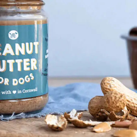 Perfectly Peanutty Home Baked Treats For Dogs - Dog Friendly Peanut Butter - The Pets Larder Natural Pet Shop 