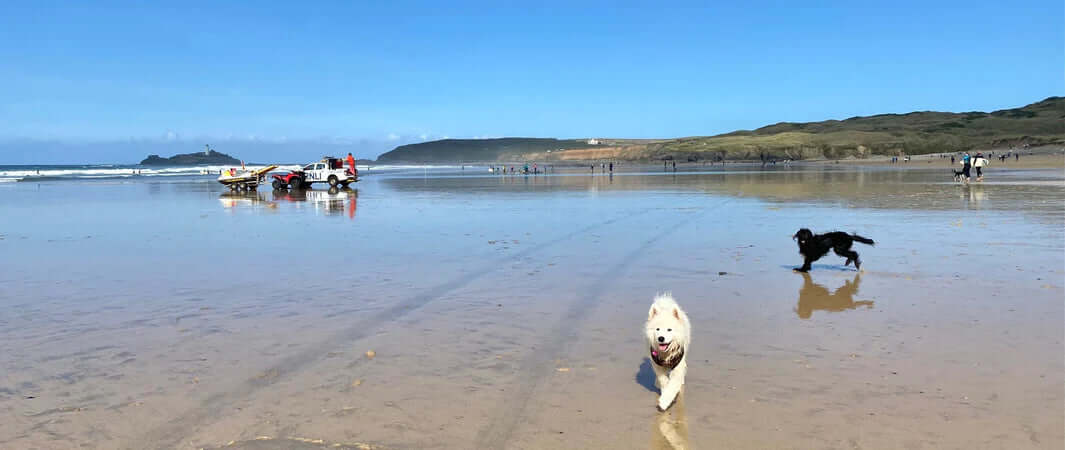Fluffy white dog running on beach, promoting eco-conscious dog poo disposal.