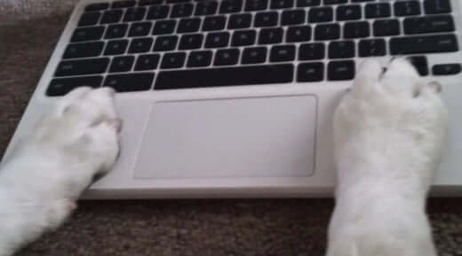 MacBook Pro keyboard with white keys and black accents for small business Saturday