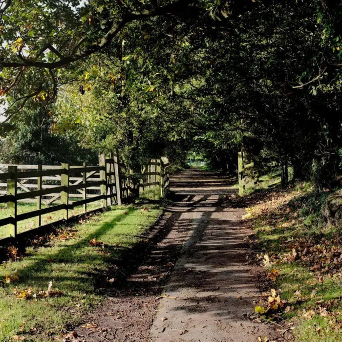 UK Dog Walking Guide: The Mighty Midlands - Baddesley Clinton - The Midlands Walks With Dogs - The Pets Larder Natural Pet Shop 