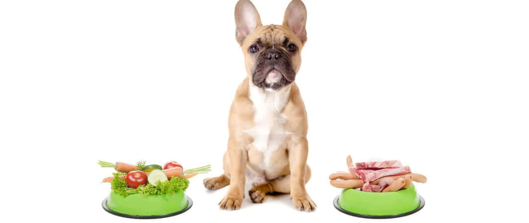 Green bowl of fully vegan meat and vegetables from Pets Larder